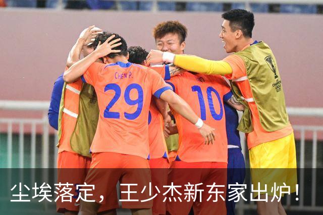 尘埃落定，王少杰新东家出炉！